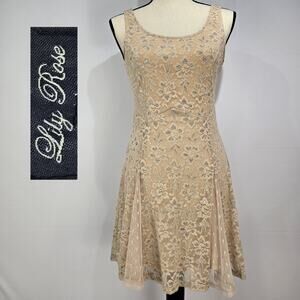 Lily Rose Champagne Silver Fit and Flair Lace Dress S